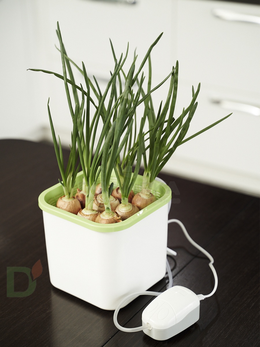 Проращиватель Здоровья клад 1х помповый