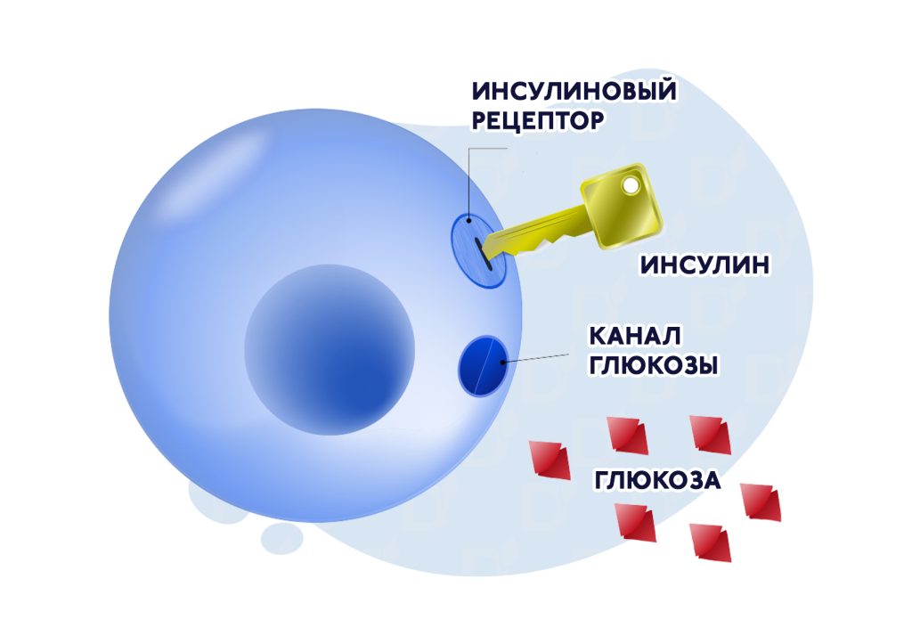 БЛОГ-3.png БЛОГ-3.png